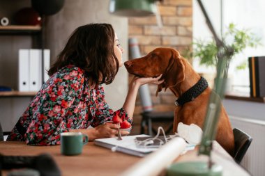 Adam dizüstü bilgisayarla çalışırken köpeğiyle yerde oynuyor. Samoe köpeğiyle oynayan adam..