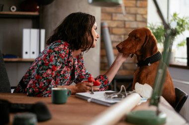 Adam dizüstü bilgisayarla çalışırken köpeğiyle yerde oynuyor. Samoe köpeğiyle oynayan adam..