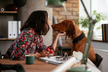 Adam dizüstü bilgisayarla çalışırken köpeğiyle yerde oynuyor. Samoe köpeğiyle oynayan adam..