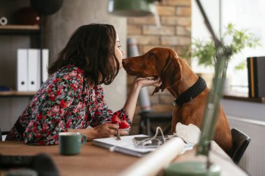 Adam dizüstü bilgisayarla çalışırken köpeğiyle yerde oynuyor. Samoe köpeğiyle oynayan adam..