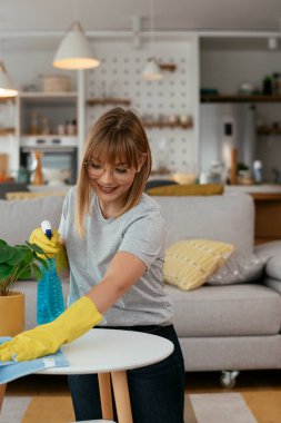Genç çekici kadın evi temizliyor. 