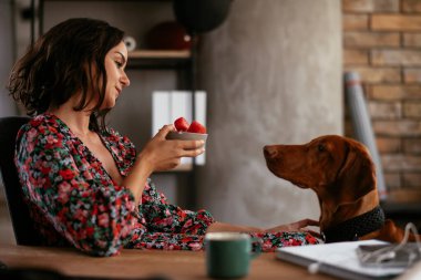 Adam dizüstü bilgisayarla çalışırken köpeğiyle yerde oynuyor. Samoe köpeğiyle oynayan adam..