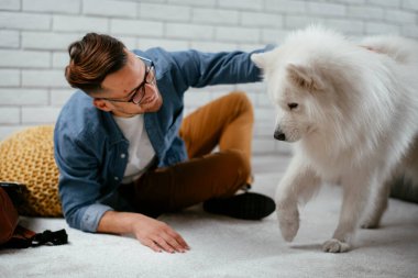 Adam dizüstü bilgisayarla çalışırken köpeğiyle yerde oynuyor. Samoe köpeğiyle oynayan adam..