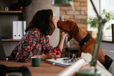 Adam dizüstü bilgisayarla çalışırken köpeğiyle yerde oynuyor. Samoe köpeğiyle oynayan adam..