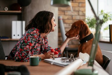 Adam dizüstü bilgisayarla çalışırken köpeğiyle yerde oynuyor. Samoe köpeğiyle oynayan adam..