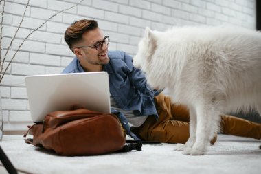 Adam dizüstü bilgisayarla çalışırken köpeğiyle yerde oynuyor. Samoe köpeğiyle oynayan adam..