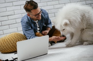 Adam dizüstü bilgisayarla çalışırken köpeğiyle yerde oynuyor. Samoe köpeğiyle oynayan adam..