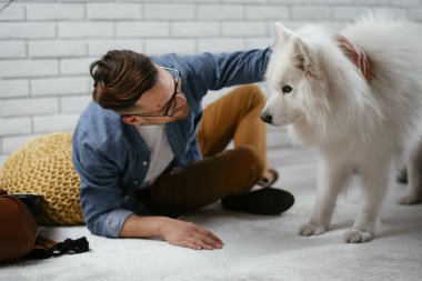 Adam dizüstü bilgisayarla çalışırken köpeğiyle yerde oynuyor. Samoe köpeğiyle oynayan adam..