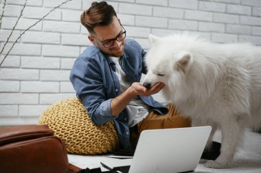 Adam dizüstü bilgisayarla çalışırken köpeğiyle yerde oynuyor. Samoe köpeğiyle oynayan adam..