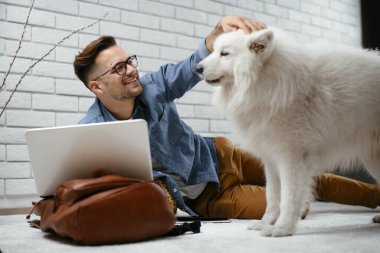 Adam dizüstü bilgisayarla çalışırken köpeğiyle yerde oynuyor. Samoe köpeğiyle oynayan adam..