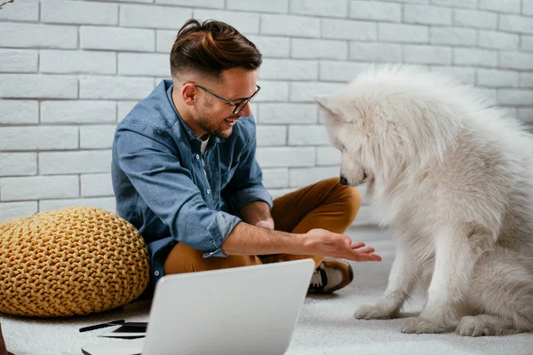 Adam dizüstü bilgisayarla çalışırken köpeğiyle yerde oynuyor. Samoe köpeğiyle oynayan adam..