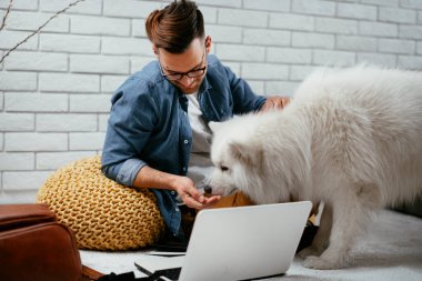 Adam dizüstü bilgisayarla çalışırken köpeğiyle yerde oynuyor. Samoe köpeğiyle oynayan adam..