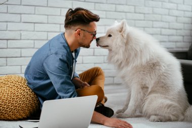 Adam dizüstü bilgisayarla çalışırken köpeğiyle yerde oynuyor. Samoe köpeğiyle oynayan adam..