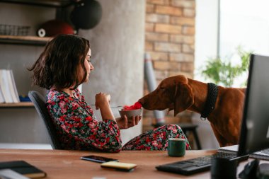 Adam dizüstü bilgisayarla çalışırken köpeğiyle yerde oynuyor. Samoe köpeğiyle oynayan adam..