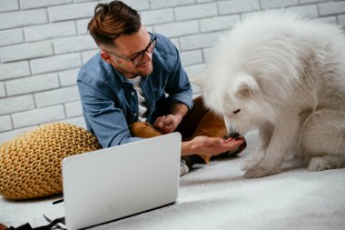 Adam dizüstü bilgisayarla çalışırken köpeğiyle yerde oynuyor. Samoe köpeğiyle oynayan adam..