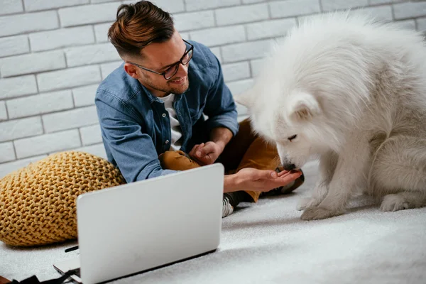 Adam dizüstü bilgisayarla çalışırken köpeğiyle yerde oynuyor. Samoe köpeğiyle oynayan adam..