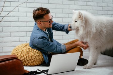Adam dizüstü bilgisayarla çalışırken köpeğiyle yerde oynuyor. Samoe köpeğiyle oynayan adam..