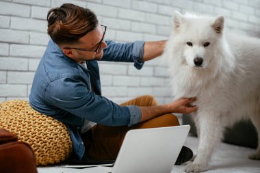 Adam dizüstü bilgisayarla çalışırken köpeğiyle yerde oynuyor. Samoe köpeğiyle oynayan adam..