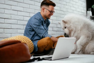 Adam dizüstü bilgisayarla çalışırken köpeğiyle yerde oynuyor. Samoe köpeğiyle oynayan adam..