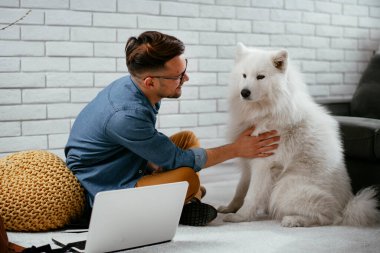 Adam dizüstü bilgisayarla çalışırken köpeğiyle yerde oynuyor. Samoe köpeğiyle oynayan adam..