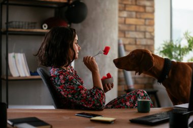 Adam dizüstü bilgisayarla çalışırken köpeğiyle yerde oynuyor. Samoe köpeğiyle oynayan adam..
