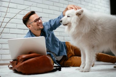 Adam dizüstü bilgisayarla çalışırken köpeğiyle yerde oynuyor. Samoe köpeğiyle oynayan adam..