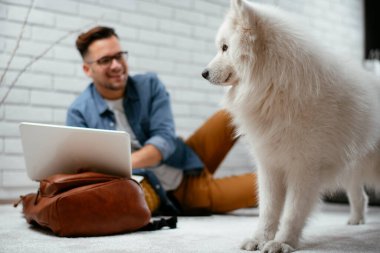 Adam dizüstü bilgisayarla çalışırken köpeğiyle yerde oynuyor. Samoe köpeğiyle oynayan adam..