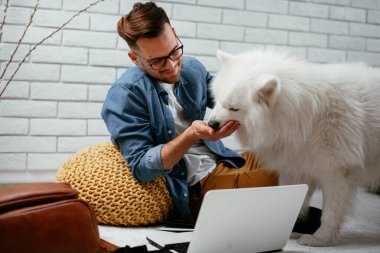 Adam dizüstü bilgisayarla çalışırken köpeğiyle yerde oynuyor. Samoe köpeğiyle oynayan adam..