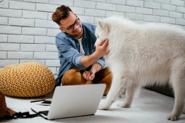 Adam dizüstü bilgisayarla çalışırken köpeğiyle yerde oynuyor. Samoe köpeğiyle oynayan adam..