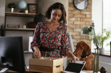 Adam dizüstü bilgisayarla çalışırken köpeğiyle yerde oynuyor. Samoe köpeğiyle oynayan adam..