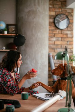 Adam dizüstü bilgisayarla çalışırken köpeğiyle yerde oynuyor. Samoe köpeğiyle oynayan adam..