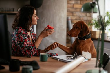 Adam dizüstü bilgisayarla çalışırken köpeğiyle yerde oynuyor. Samoe köpeğiyle oynayan adam..