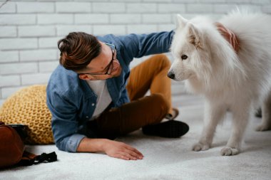 Adam dizüstü bilgisayarla çalışırken köpeğiyle yerde oynuyor. Samoe köpeğiyle oynayan adam..