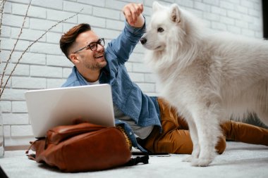 Adam dizüstü bilgisayarla çalışırken köpeğiyle yerde oynuyor. Samoe köpeğiyle oynayan adam..
