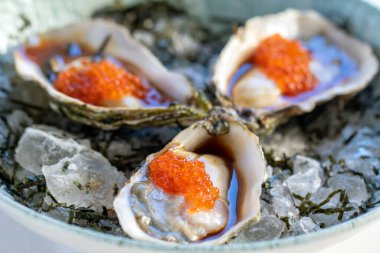 Makro taze iştah açıcı istiridye, portakal havyarı ve ezilmiş buz üzerinde panzu sosu.. 