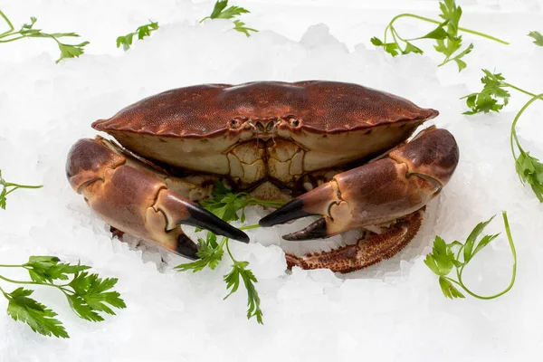 Close Fresh Edible Crab Crushed Ice Green Decorative Parsley Leaves — Stock Photo, Image