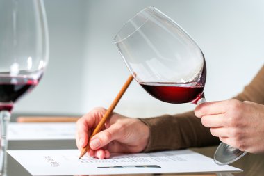 Sommelier şarap değerlendirilmesi.