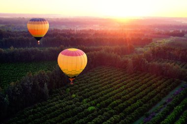 Sıcak hava balonları kırsal üzerinde.