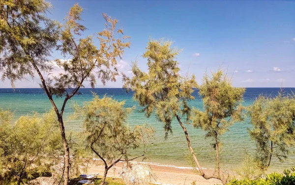 Yunan Kıyı Şeridi Zakynthos Zante Adası Yunanistan — Stok fotoğraf