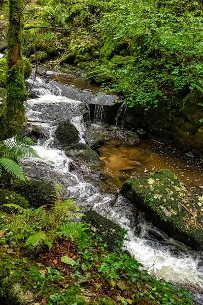 Kennall River Kennall Vale Nature Reserve Ponsanooth Cornwall Reino Unido — Fotografia de Stock