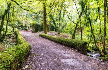 Kennall Vale Doğa Rezervi, Ponsanooth, Cornwall, Birleşik Krallık Kennall Nehri üzerindeki köprü