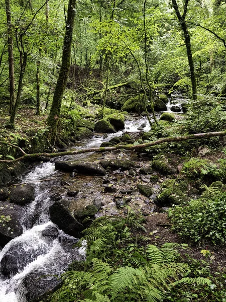 Kennall River Kennall Vale Nature Reserve Ponsanooth Cornwall Reino Unido — Fotografia de Stock