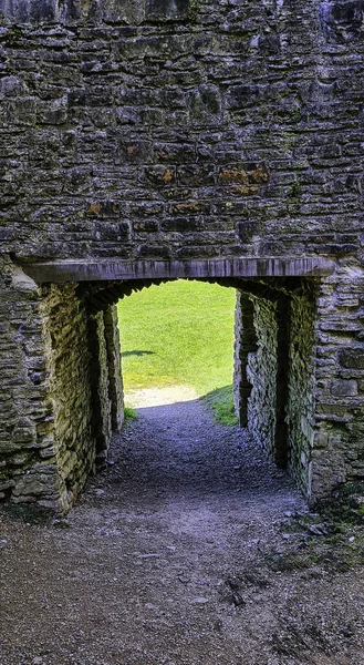 Ruined Dinefwr Dynevor Castle Kilátással Folyóra Tywi Llandeilo Carmarthenshire Wales — Stock Fotó
