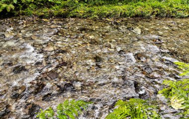 River Lyd - Lydford Vadisi, Dartmoor Ulusal Parkı, Devon, İngiltere