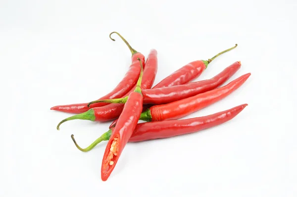 Chilischote — Stockfoto