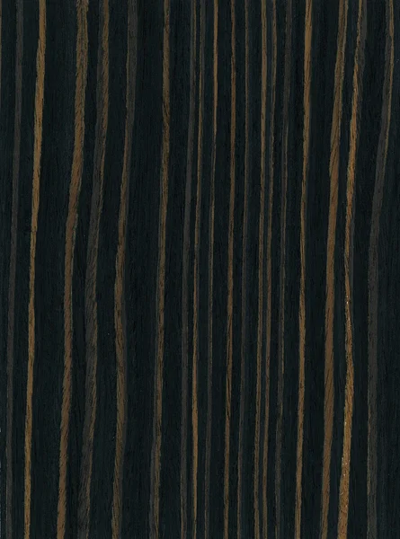 Textura de madeira de ébano — Fotografia de Stock