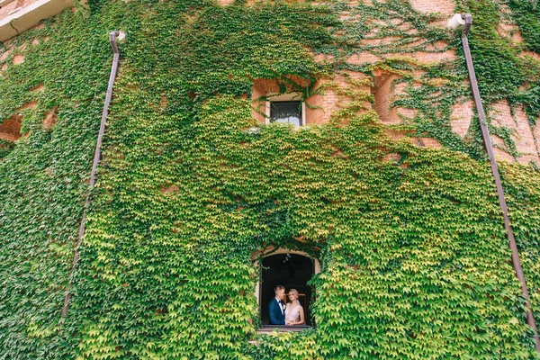 緑の葉で覆われた石垣の上の結婚式のカップル — ストック写真