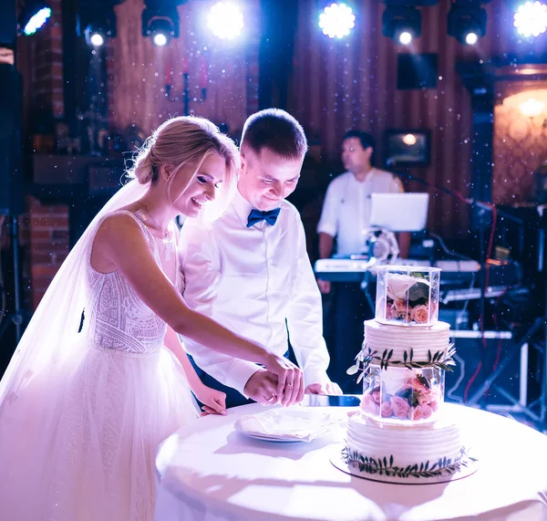 신부와 신랑은 꽃으로 장식된 아름다운 케이크를 잘랐다 — 스톡 사진