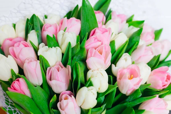 Красивые Нежные Весенние Цветы Розовые Белые Тюльпаны — стоковое фото