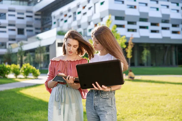 Grupo Universitárias Está Parado Perto Universidade Olhando Para Computador Fazendo — Fotografia de Stock